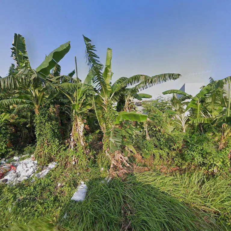 Dijual Tanah Kosong Sutorejo Barat Selangkah Kampus Unair Pusat Kota