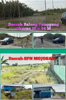 JUAL CEPAT TANAH NEGO SAMPAI DEAL 800METER GRESIK