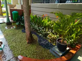 Pembuatan taman minimalis