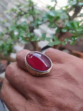 Batu akik Red Carnelian/Merah Fanta