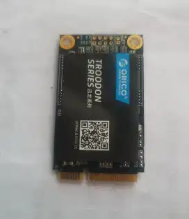 Orico SSD Msata TROODON M200 512GB 3D NAND TLC