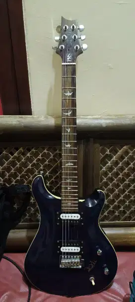 Gitar PRS Custom dan Efect