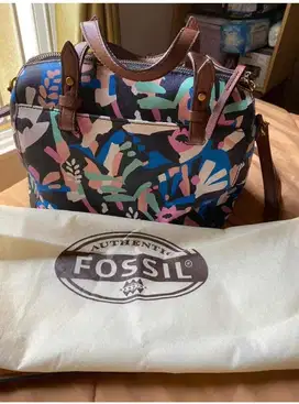 Tas fossil original