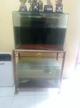 Jual Aquarium ukuran 60x40x40 + rak