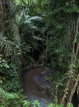 Tanah View Sungai Dan Jungle Di Keliki Ubud Bali