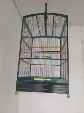 Burung Sangkar panama ukuran  38x45