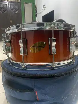 Ludwig Accent C Custom30