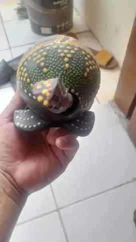 Dijual hiasan kura-kura.