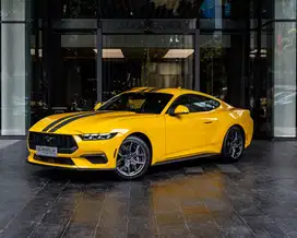 FORD MUSTANG ECOBOOST - YELLOW SPLASH 2024