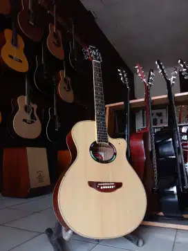 Gitar Akustik Apx 500ii