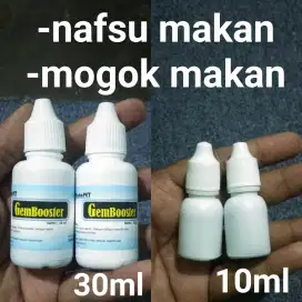 Obat mogok makan hewan