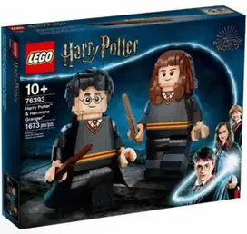 LEGO 76393 - Harry Potter - Harry Potter & Hermione Granger