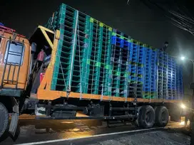 Pallet plastik flat