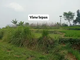 Jual tanah kebun murah view pegunungan pamijahan bgr