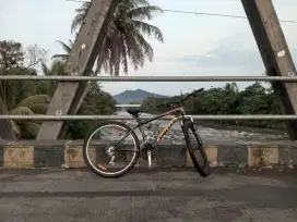 sepeda united, sepeda gunung dewasa