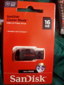 flashdisk sandisk