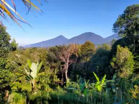 Plantation land with mountain and valley views in Baturiti Bali