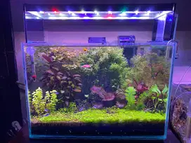 Dijual aquascape natural