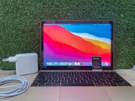 Macbook 12 Retina 8GB/256GB 2017 - Laptop Apple – Gold