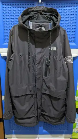 Jaket the north face