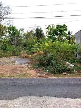 Tanah Hook Tepi Jalan Aspal di Argomulyo Sedayu