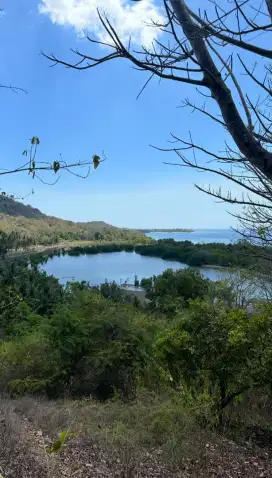 tanah murah di pulau NTB