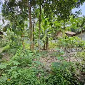 Tanah 150m2 SHM, murah.