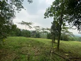 Tanah best view pegunungan di tajur halang Cijeruk Bogor