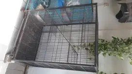 Kandang kucing jumbo bisa 3 tingkat