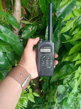 HT. motorolla Gp 2000 mulus