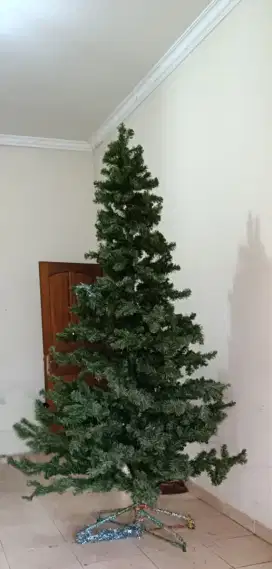 Dijual Pohon Natal Ukuran Besar Tinggi 3M+