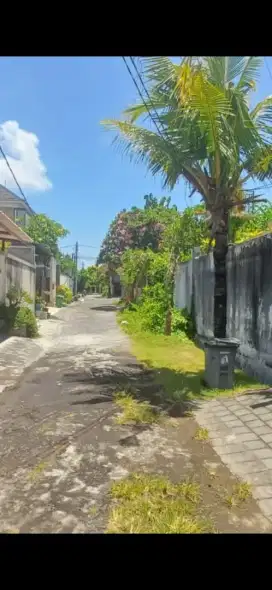 Di kontrakan tanah jalan Pengiyasan , Sanur, DPS, Bali