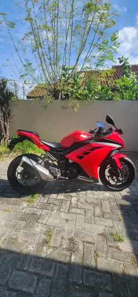 Ninja Warrior 250