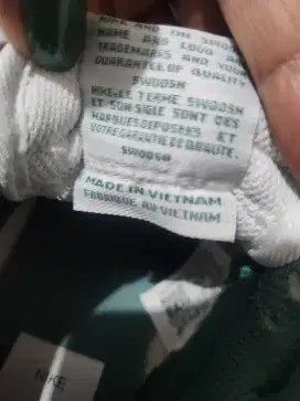 Dunk NIKE hijau