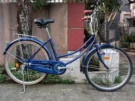 Sepeda Mini Keranjang Ring 26'.