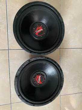 Subwoofer cubig 12inch