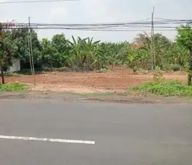 Tanah murah nempel jalan raya cocok untuk bisnis