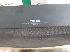 Speaker Yamaha NS c70