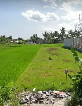 Disewakan sawah 5 menit ke kampus UMY