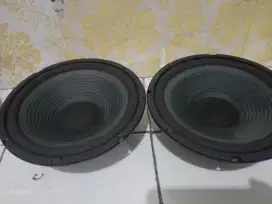 Speker 10 in copotan