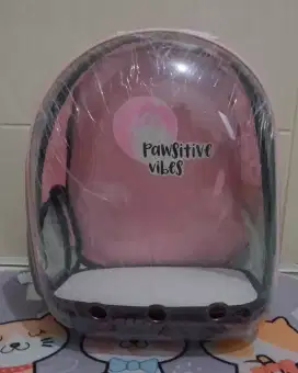 Tas astronot kucing