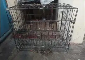 Kandang besi, kucing, kelinci, musang,