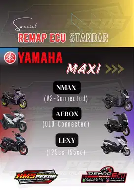 Remap Ecu Yamaha