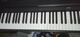 Yamaha P45 (5,5 juta)