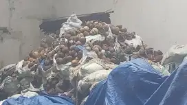 jual batok kelapa