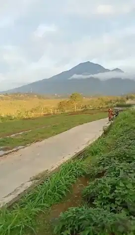 Tanah Di bogor View Gunung salak MDPL 800 sejuk pas buat Villa