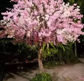 Pohon artificial sakura cherry blossom mangga maple beringin willow