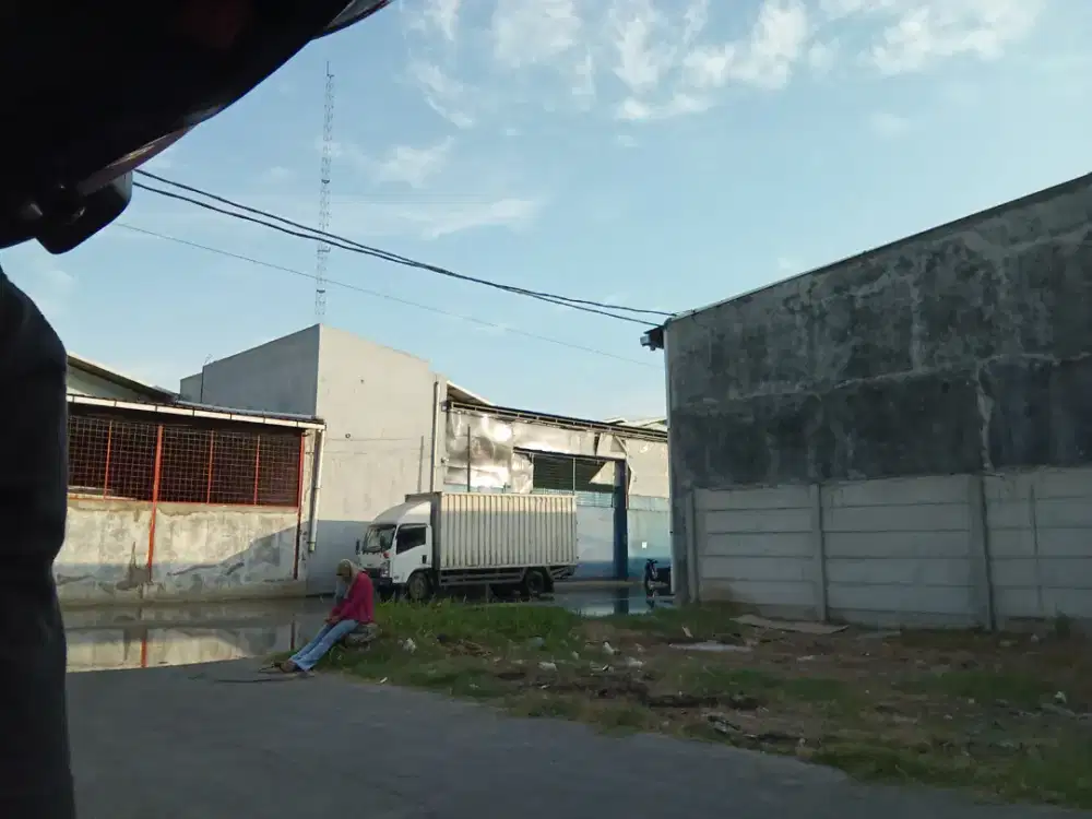 Driver mobil frozenfood