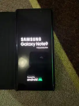 Samsung Galaxy Note 9 512 Gb Inter