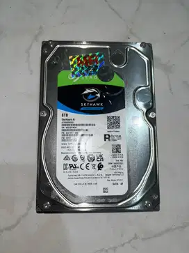 Hardisk Skyhawk 8 TB